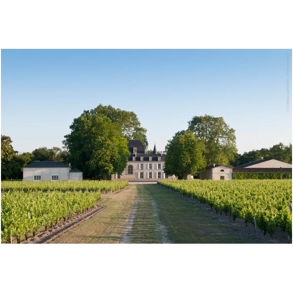 WeinKollektion - Chateau Cantemerle 2016