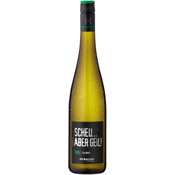 Emil Bauer »Scheu aber geil«