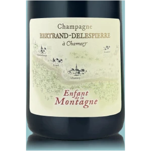 Bertrand-Delespierre Enfant de la Montagne
