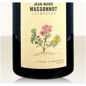 JM-Massonnot Pluie d’euphories