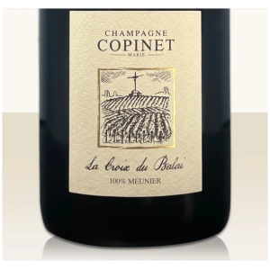 Marie Copinet - La Croix Du Balai