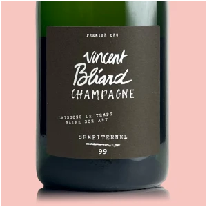 Vincent Bliard Sempiternel 1999 - Bio