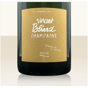 Vincent Bliard Sylve - Bio