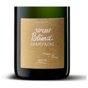 Vincent Bliard Sylve MAGNUM - Bio