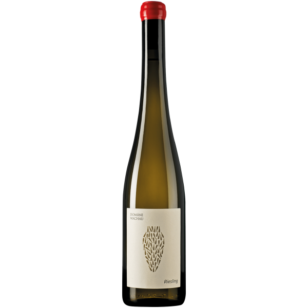 Riesling Amphora