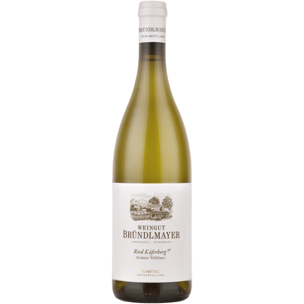 Grüner Veltliner Käferberg Kamptal DAC 1ÖTW