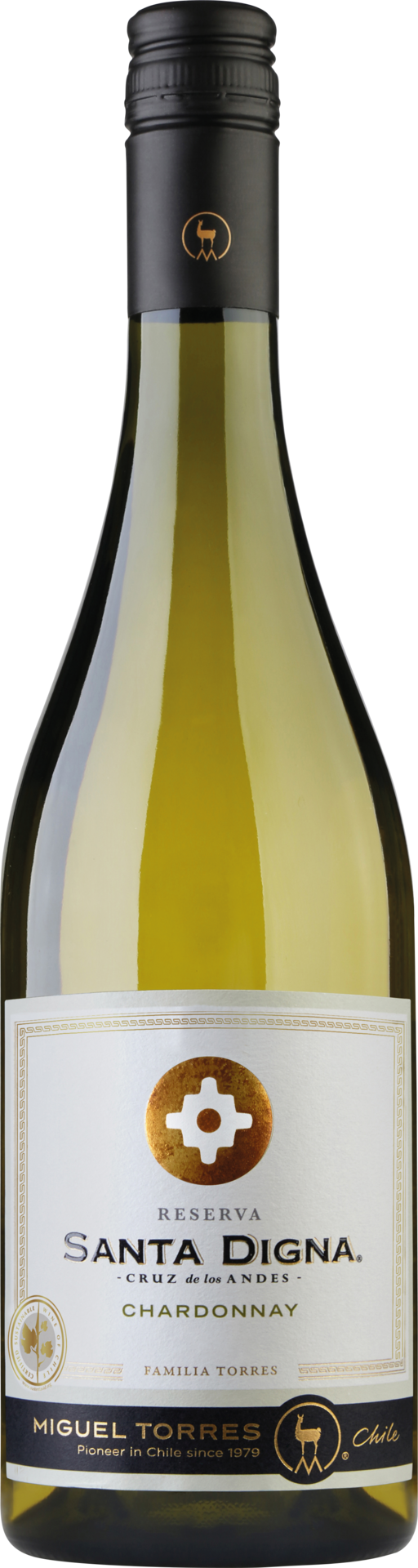 Miguel Torres Chile - Santa Digna Reserva Chardonnay - 2023