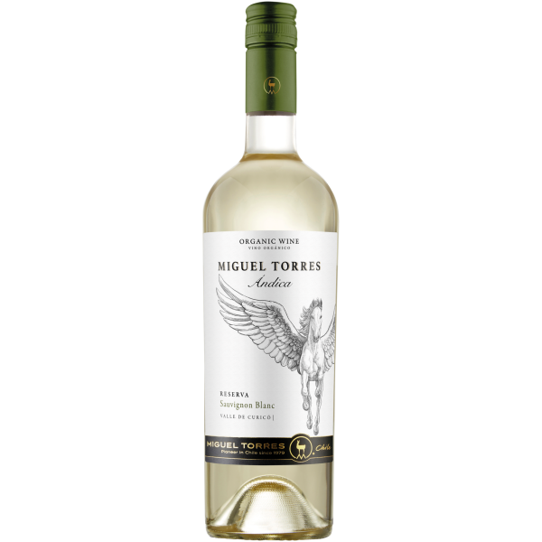 Andica Sauvignon Blanc Reserva