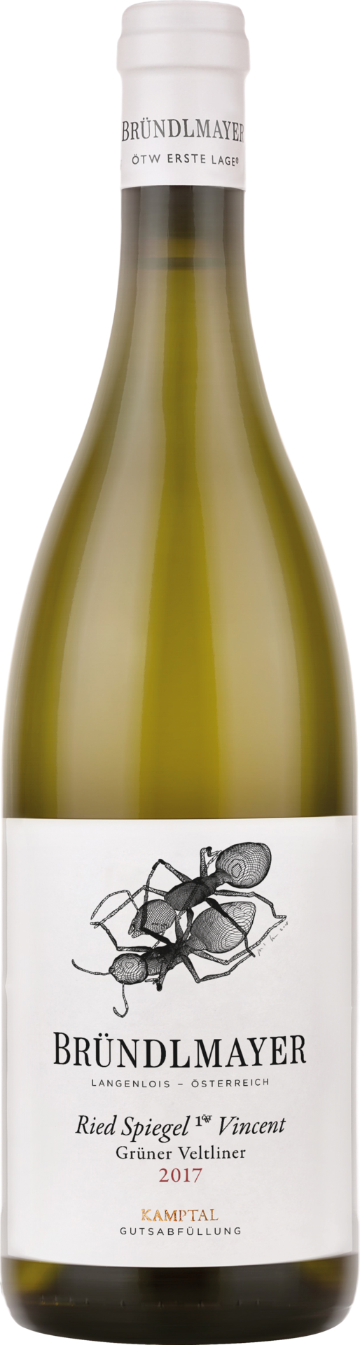 Weingut Bründlmayer Grüner Veltliner Spiegel Vincent - 2017