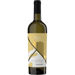 Querci Antica Verdicchio dei Castelli di Jesi DOC Classico