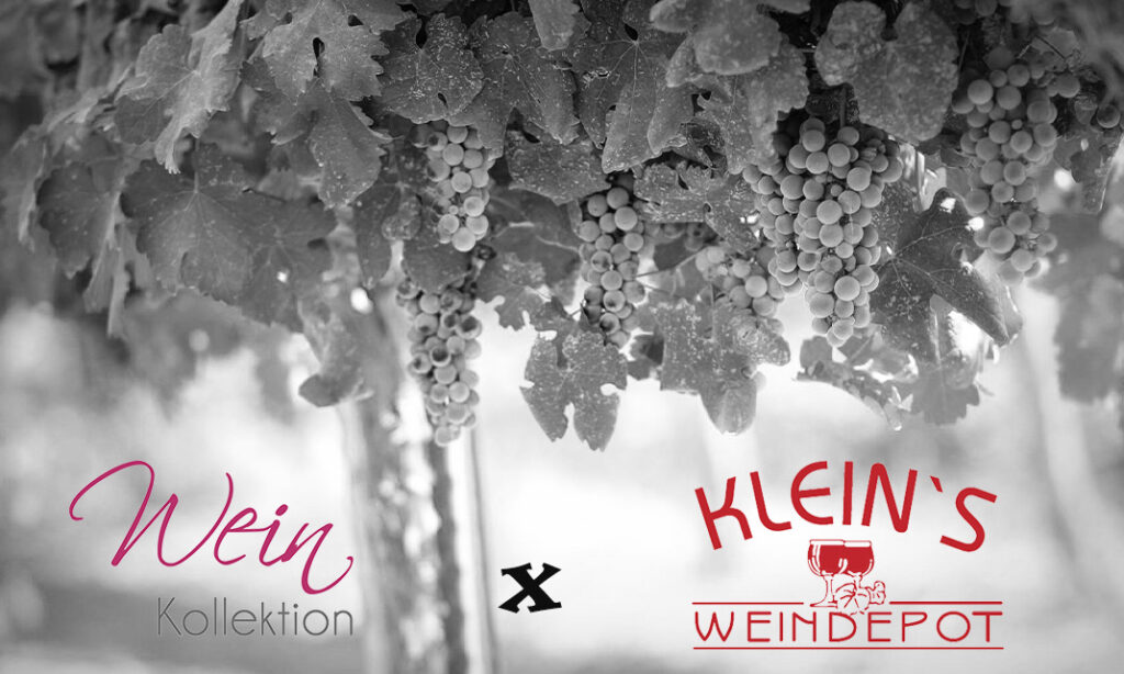 WeinKollektion - WeinKollektion x Weindepot Klein