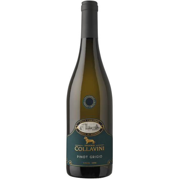 Villa Canlungo Pinot Grigio Collio DOC