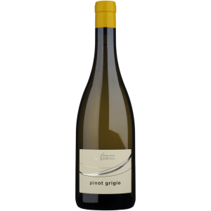 Pinot Grigio DOC