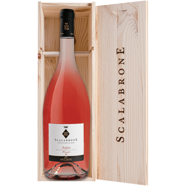 Scalabrone Rosato Bolgheri DOC Magnum