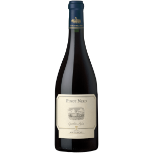 Pinot Nero Umbria IGT