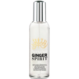 Twist Ginger Spirit 50% vol