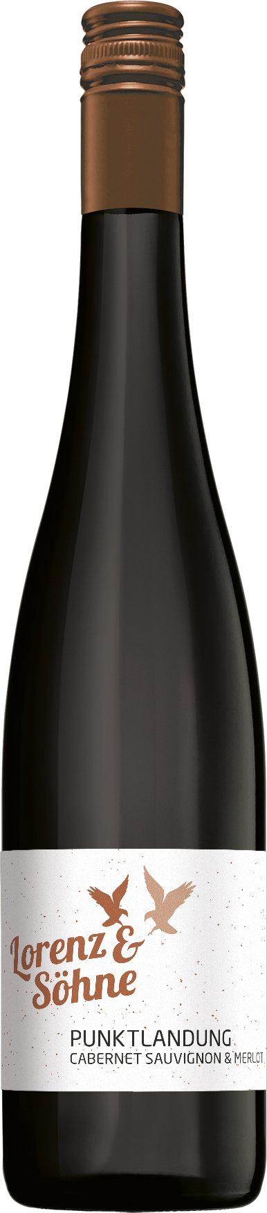 Cabernet Sauvignon & Merlot Qualitätswein trocken "Punktlandung" - 2021