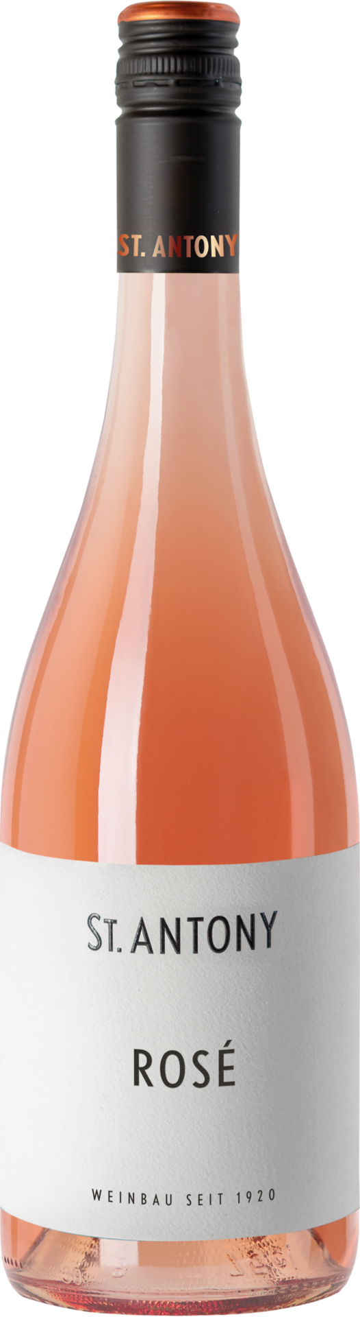 Pinot Noir Rosé - 2023