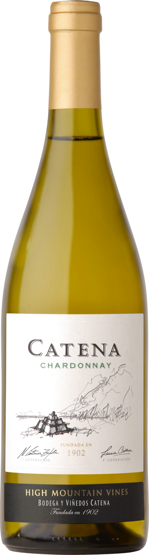 Catena Chardonnay - 2020