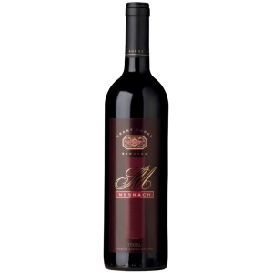 Meshach Shiraz