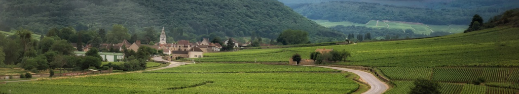 WeinKollektion - Burgundische Eleganz - Eine Reise durch die Verlockungen der Bourgogne - Weine