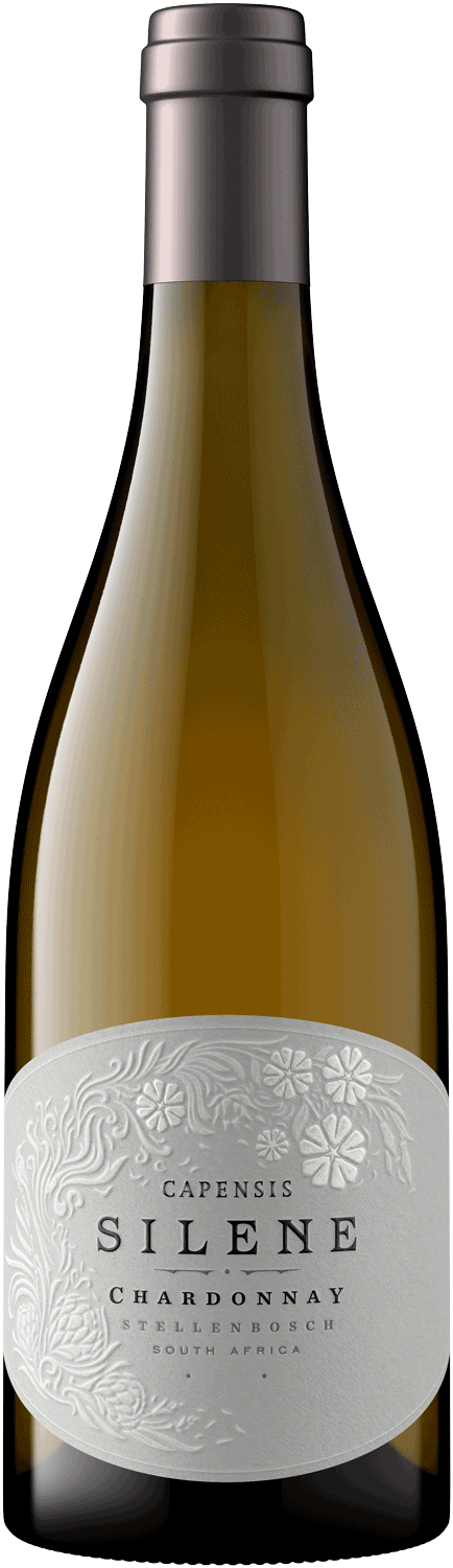 https://capreo.com/media/51/b5/29/1741016703/Capensis Silene Chardonnay 2022_1.png