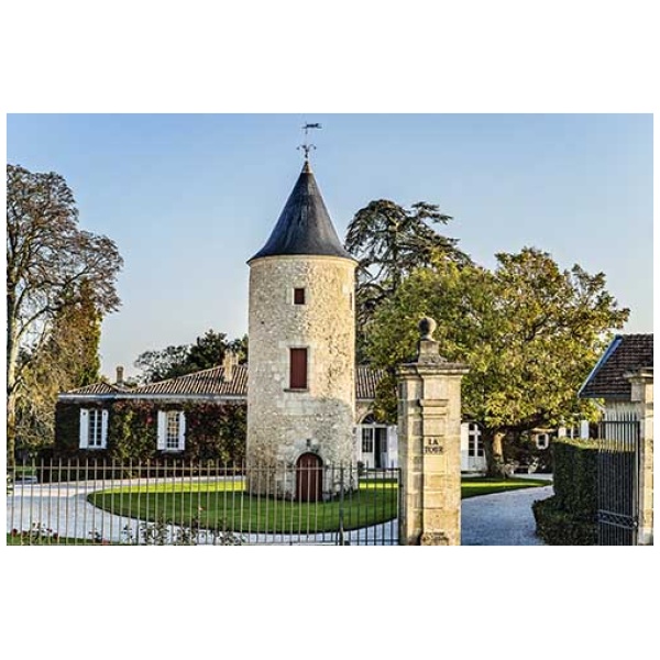 WeinKollektion - Magnum Chateau Latour-Martillac 2018