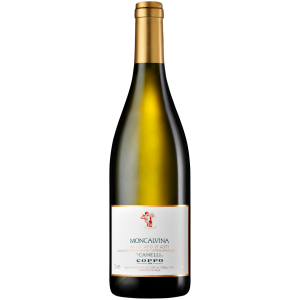 Coppo »Moncalvina« Moscato d’Asti - 0,375l