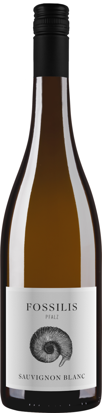 »Fossilis« Sauvignon Blanc – Bio