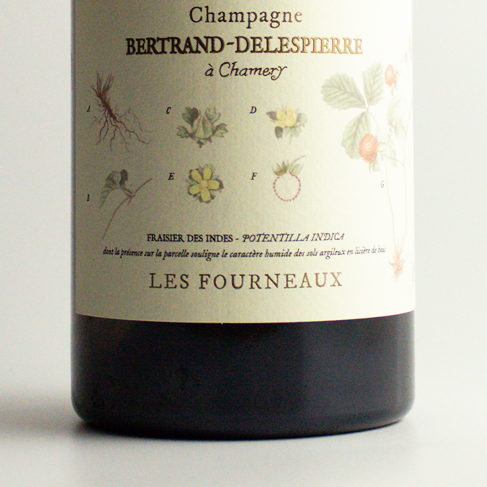 Bertrand-Delespierre Les Fourneaux Coteaux Blanc 2019 - Stillwein