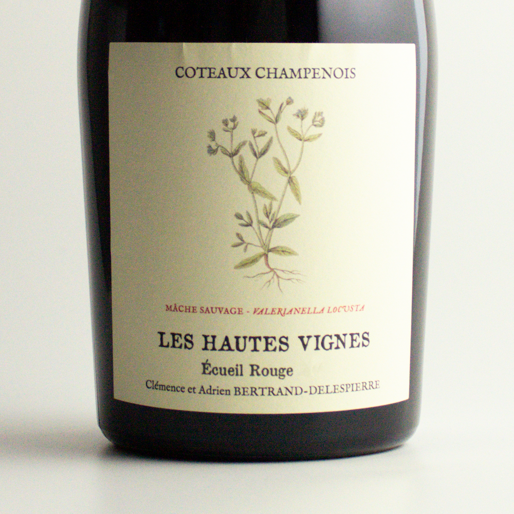 Champagne Bertrand-Delespierre Les Hautes Vignes Coteaux Rouge 2016 - Stillwein