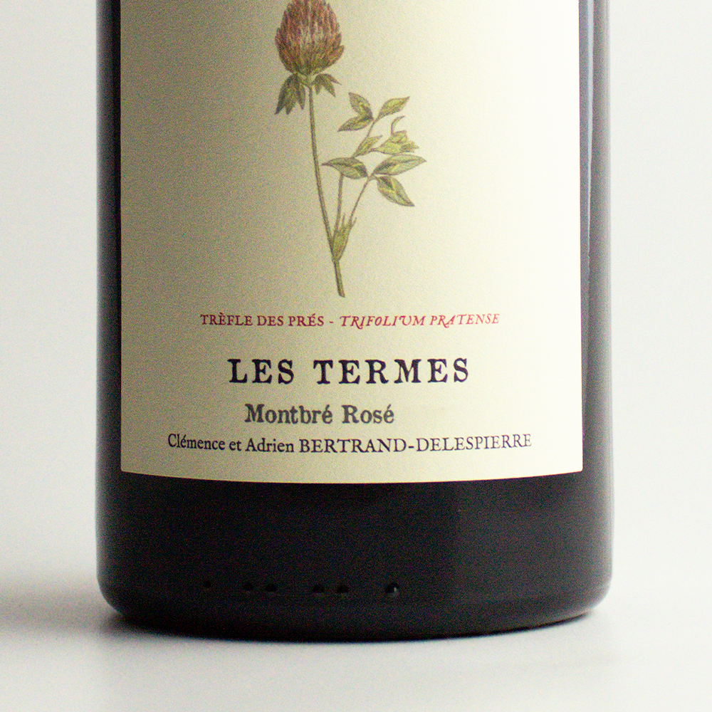 Champagne Bertrand-Delespierre Les Termes Coteaux Rosé 2020 - Stillwein