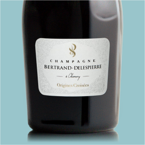 Bertrand-Delespierre Origines Croisées