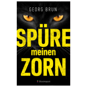 Buch Spüre meinen Zorn von Georg Brun