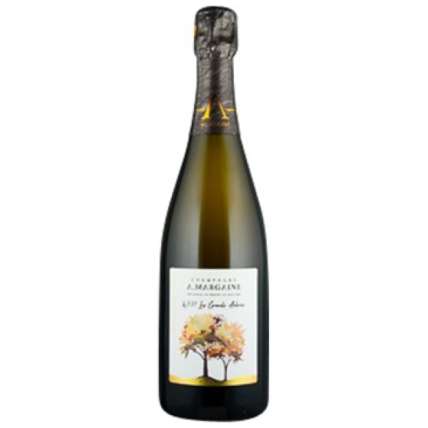 Champagne Blanc de Blancs brut nature