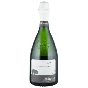 Champagne Blanc de Noirs extra brut