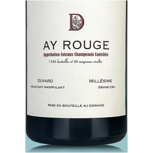 Doyard Coteaux Champenois Rouge (Stillwein) Aÿ 2022