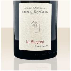 Etienne Sandrin Le Bruyant 2019 - Bio