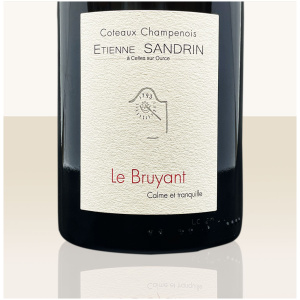 Etienne Sandrin (Stillwein) Coteaux Champenois Le Bruyant 2023