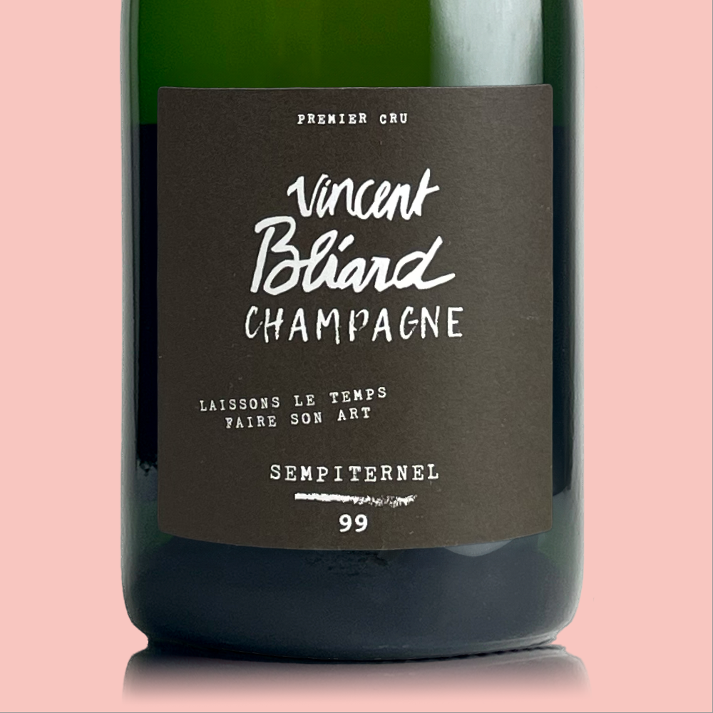 Vincent Bliard Sempiternel 1999 - Bio