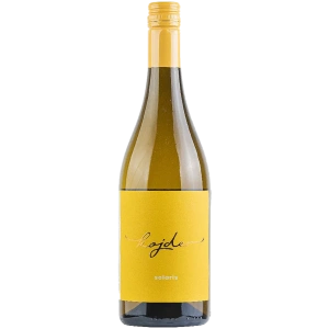 Winnice Kojder – Solaris – 2023