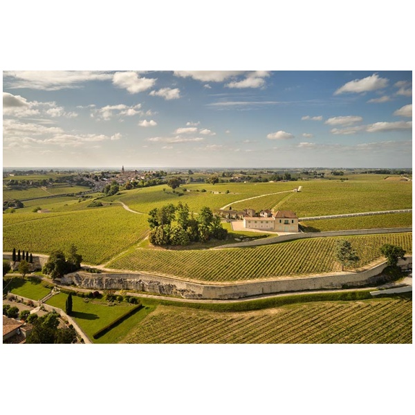 WeinKollektion - Chateau Pavie Decesse 2012